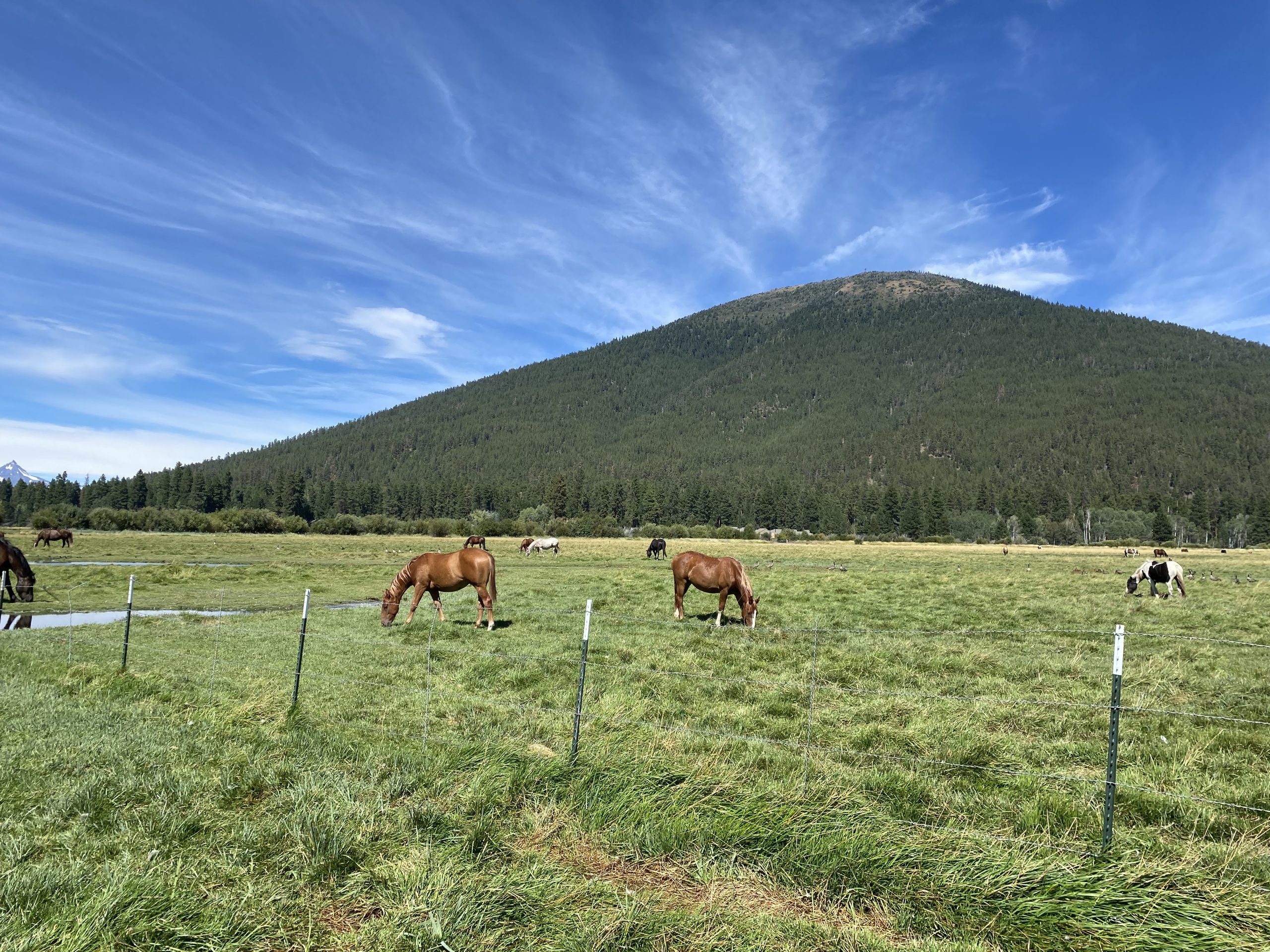 Regional image connected to R2 Utility