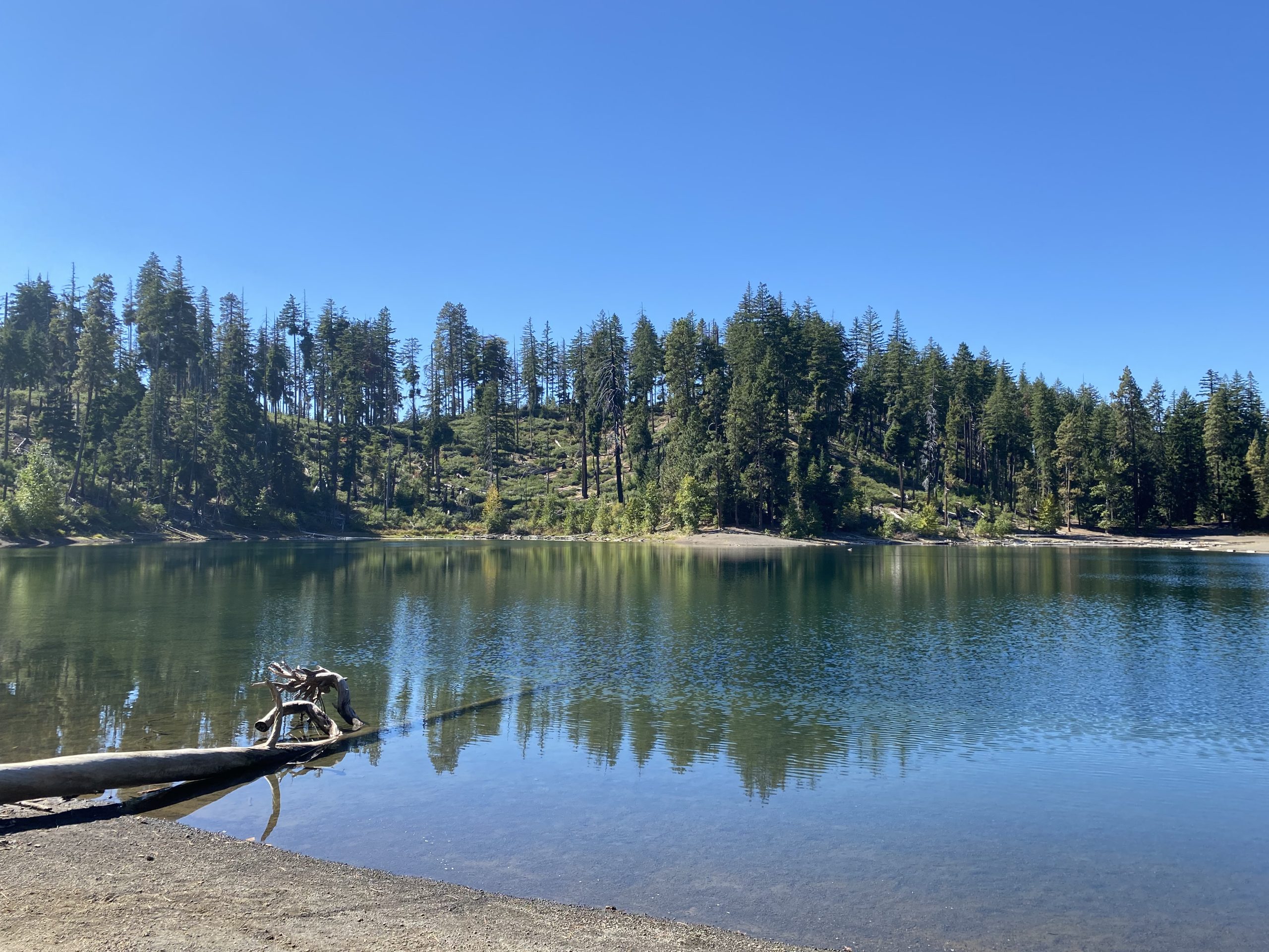 Additional Pacific Northwest image