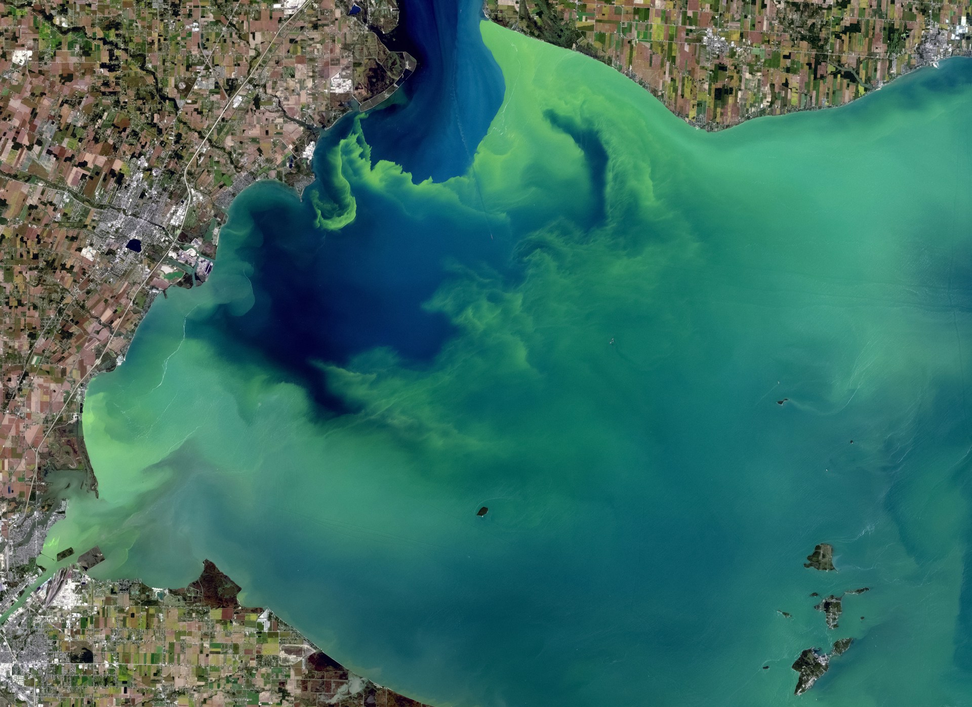 Harmful algal bloom affecting a drinking water source
